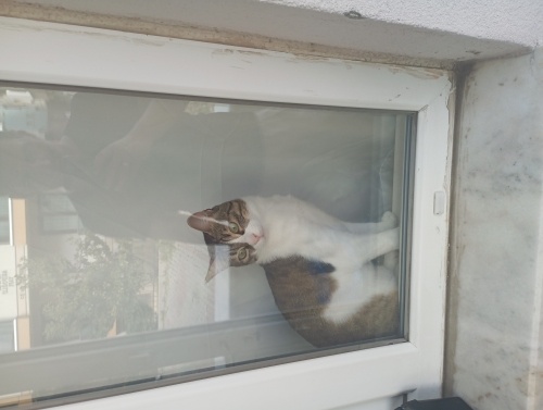 Sessiz kızıma sakin bir ev fotoğraf