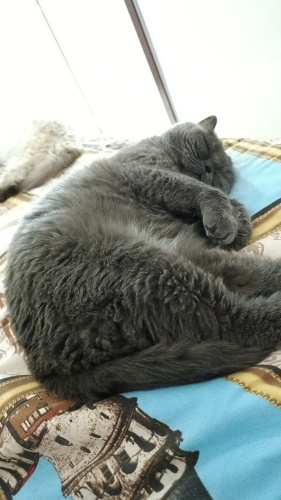 Sevecen, sessiz, sakin fotoğraf