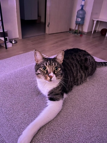 Kucak Bağımlısı Oğluma Yuva Arıyorum fotoğraf