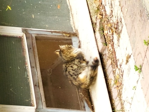 Onu görün sıcaklığı hissedin fotoğraf