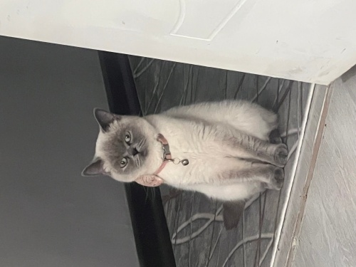 Güzel kızıma sıcak bir yuva fotoğraf