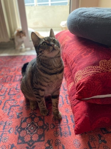 Kızıma yuva arıyoruz fotoğraf