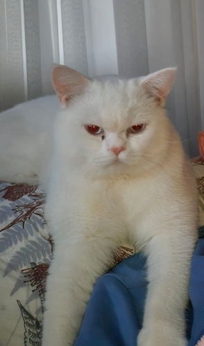 Açıklamayı okuyunuz fotoğraf