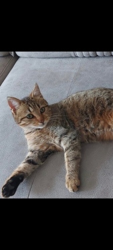 Meleğini arayoorr!!! fotoğraf