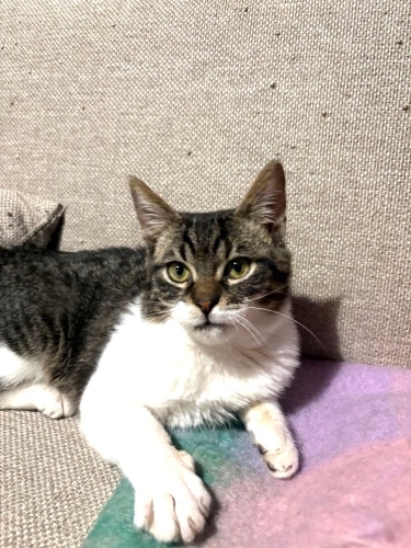 Ares’e ömürlük yuva fotoğraf