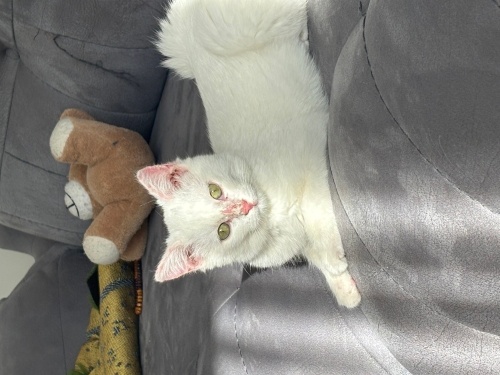 Minik bebeğe ömürlük yuva fotoğraf