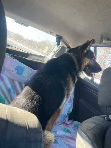 Açıklamayı okuyunuz fotoğraf