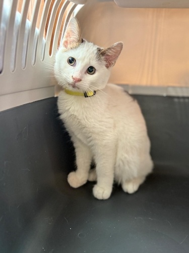 TEO YUVA ARIYORUZ fotoğraf