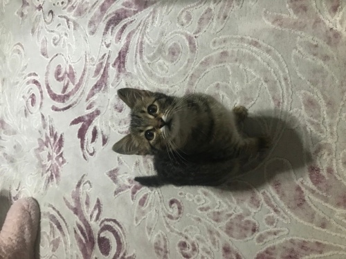 Mırmıra ömürlük yuva fotoğraf