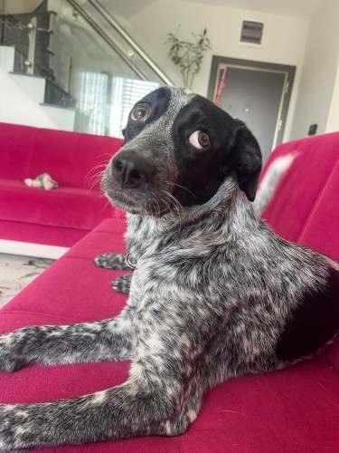 Açıklamayı okuyunuz lütfen fotoğraf