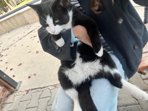 Bu sogukta dışarı atmışlar fotoğraf