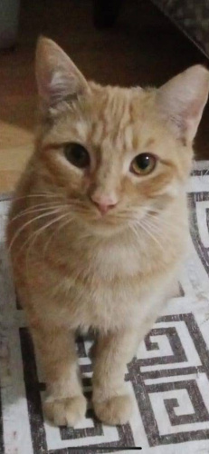 Evde doğdu büyüdü fotoğraf