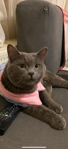 HERAYA YENİ YUVA fotoğraf