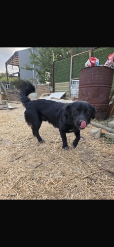 Yakışıklı oğluşumuza ömürlük yuva fotoğraf