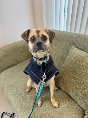 Acil yuva lütfen fotoğraf