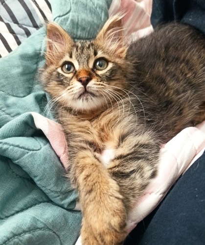 Ben onu Zendaya'ya benzetiyorum :) fotoğraf