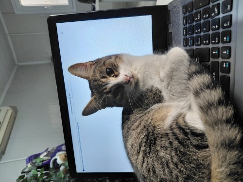 Sanayiye terk edilen kardeşler fotoğraf