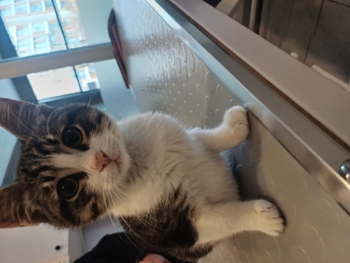 Arkadaş canlısı fotoğraf