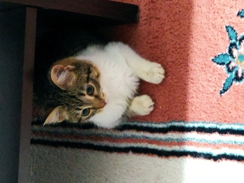 Onu görün mutluluğu tadın fotoğraf