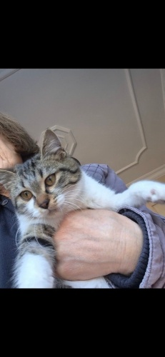 Engelli Pera ya yuva fotoğraf