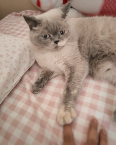 Ankara Acil Yuva fotoğraf