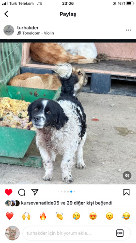 Kurtarılmayı bekliyorum. fotoğraf