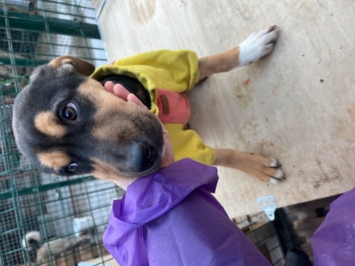 Şanssız tatlı bebek, artık şansının dönmesini bekliyor fotoğraf