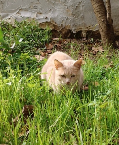 Sıcak YUVASINI arıyor fotoğraf