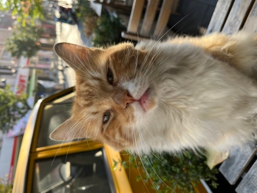 Sıcak yuva arayan bir bebek fotoğraf