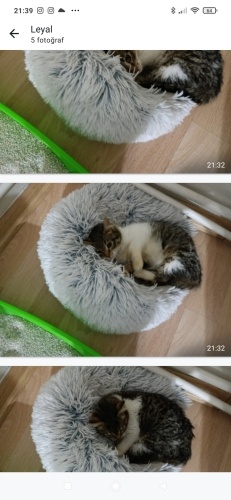 Onu görün mutluluğu tadın fotoğraf