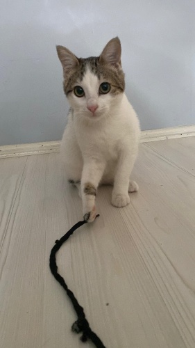 Yakışıklı oğlumuza ömürlük yuva fotoğraf