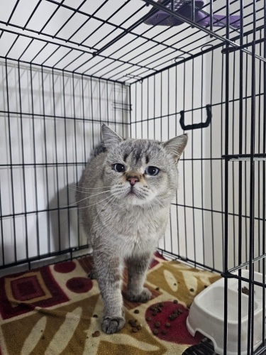 Çok tatlı ve uysal fotoğraf