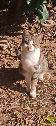 Uysal, ilgi canlısı fotoğraf