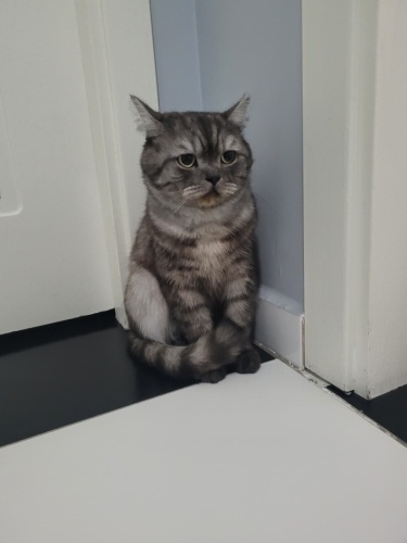 BİR DAHA TERK EDİLMEK İSTEMİYOR :( fotoğraf