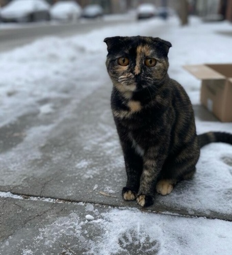 Çok acil yuva ‼️ fotoğraf