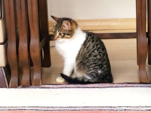 Onu görün mutluluğu tadın fotoğraf