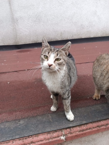 Güzel kızımıza ömürlük yuva fotoğraf