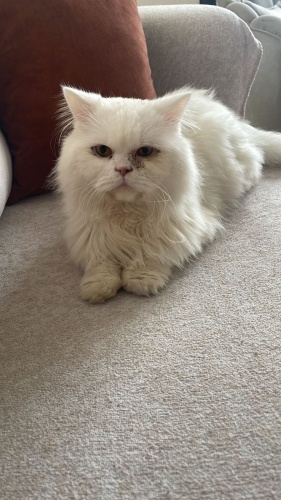 Tedavi edilmesi gereken bir çocuk fotoğraf