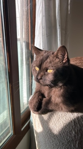 Acil Yuva İzmir! fotoğraf