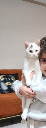 LİDYA İÇİN ACİL YUVA!!!! fotoğraf