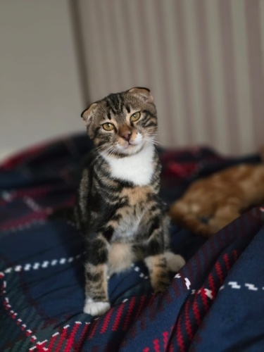 Tam bir centilmenim 😎 fotoğraf