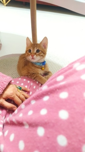 2 aylik bebegimize yuva fotoğraf