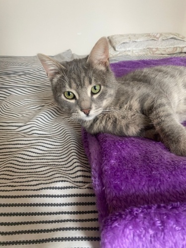 LÜTFEN OKUMADAN GEÇME ACİL SAHİPENDİRMELİ fotoğraf