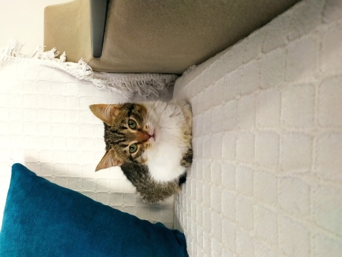 Siz onun o da sizin meleğiniz olsun fotoğraf