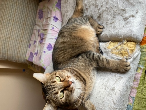 Engelli can can olacak ailesini arıyor fotoğraf