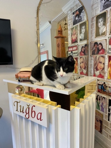 KUCAK DELİSİ KARAM fotoğraf