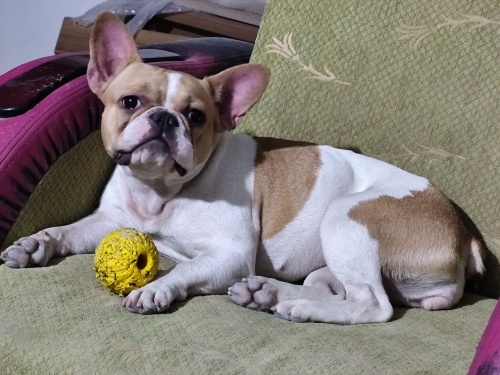 Kısır degil bir yaş fotoğraf