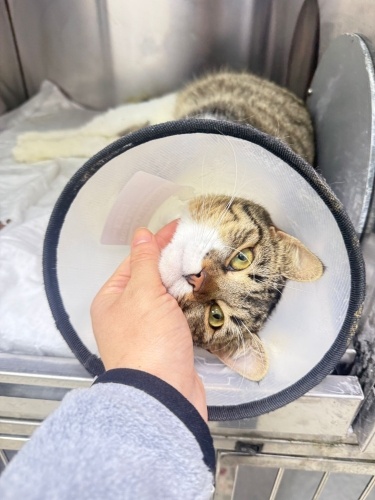 Neşenizin kaynağı olsun! fotoğraf