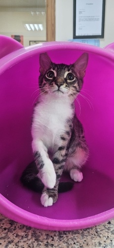 Minik adamin hikayesini okurmusunuz fotoğraf