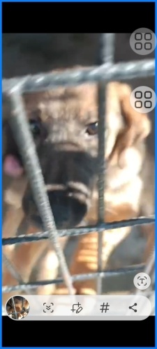 Acil yuva lütfen fotoğraf